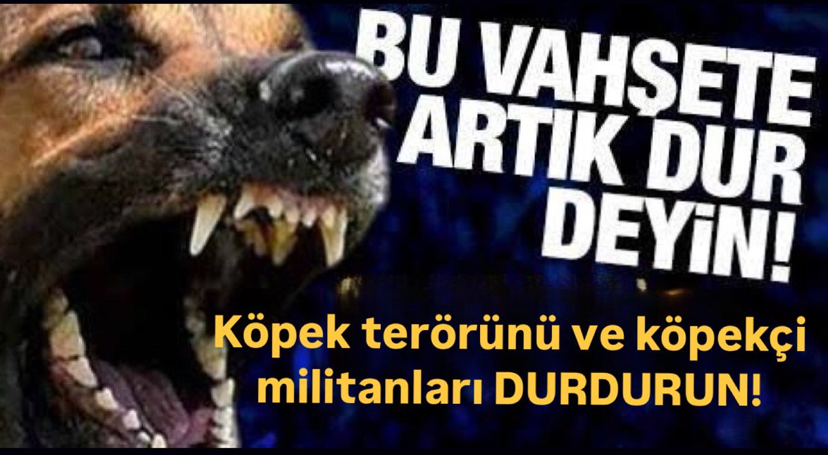 mefura's tweet photo. #AfyondaKATLİAMVAR çocuk katili sahiplenilmeyen köpekler  uyutulsun.hemen https://t.co/lh0ctjfHno