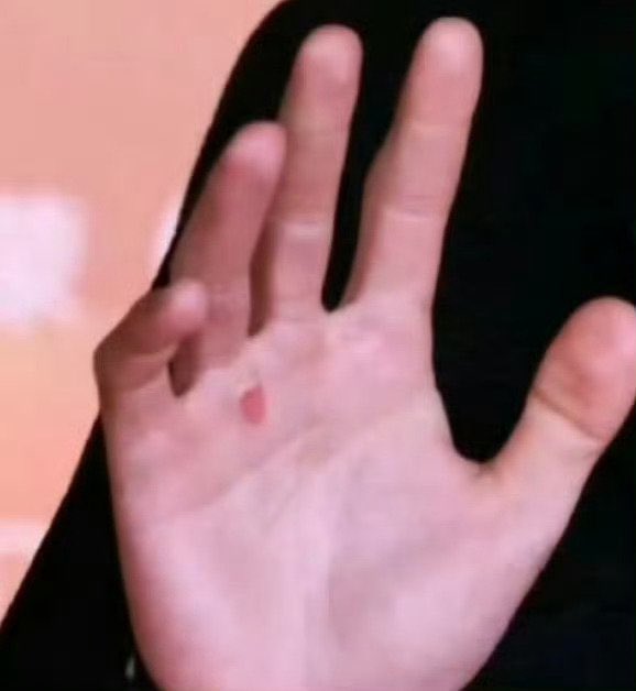 ZhanGeBoDi tweet media