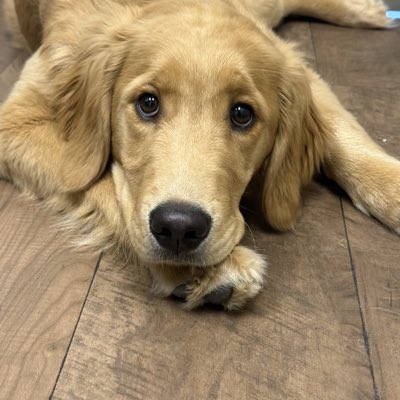 ayyyitsOC20's tweet photo. #NewProfilePic https://t.co/KvVEazl4mq