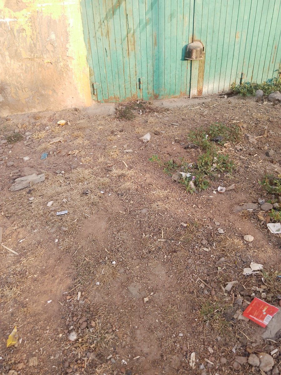 Faroukdanketa's tweet photo. Litters picked and  disposed in the trash 
@cleanify_vet 
#CleanifyChallenge 
#ecoWarrior https://t.co/7rZaE3akmi