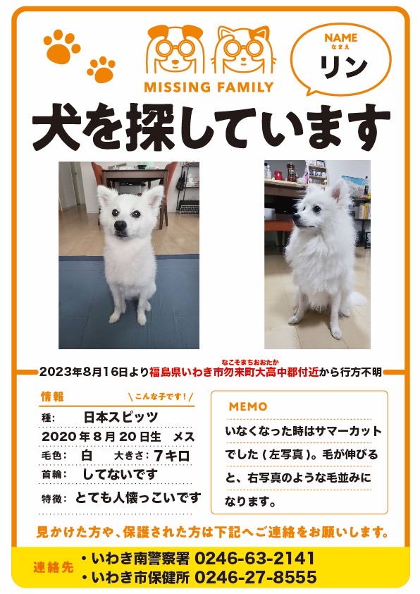 hirussyi's tweet photo. リンがいなくなって今日2025年1月26日で1年と162日。

いろいろ情報ありがとうごさいます。 

早く皆様にいい報告がしたいです。  

情報、拡散よろしくお願いします。

#迷子犬
#日本スピッツ
#拡散希望 
#福島県
#いわき市
#勿来町
#スピッツ https://t.co/1oNFWVbWoN