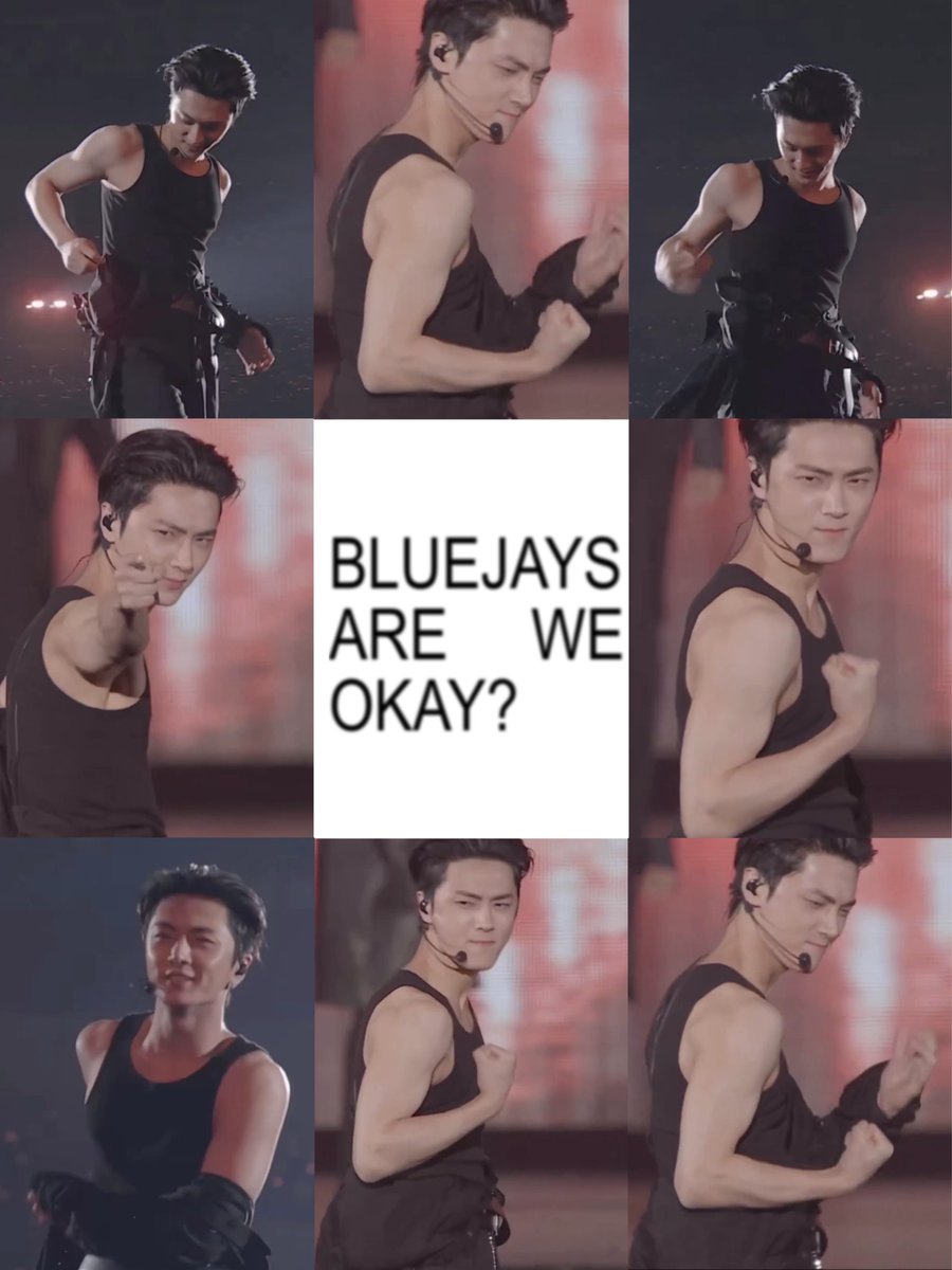 BLUEJAYS 🐈‍⬛ (@bluejays_ph) on Twitter photo 