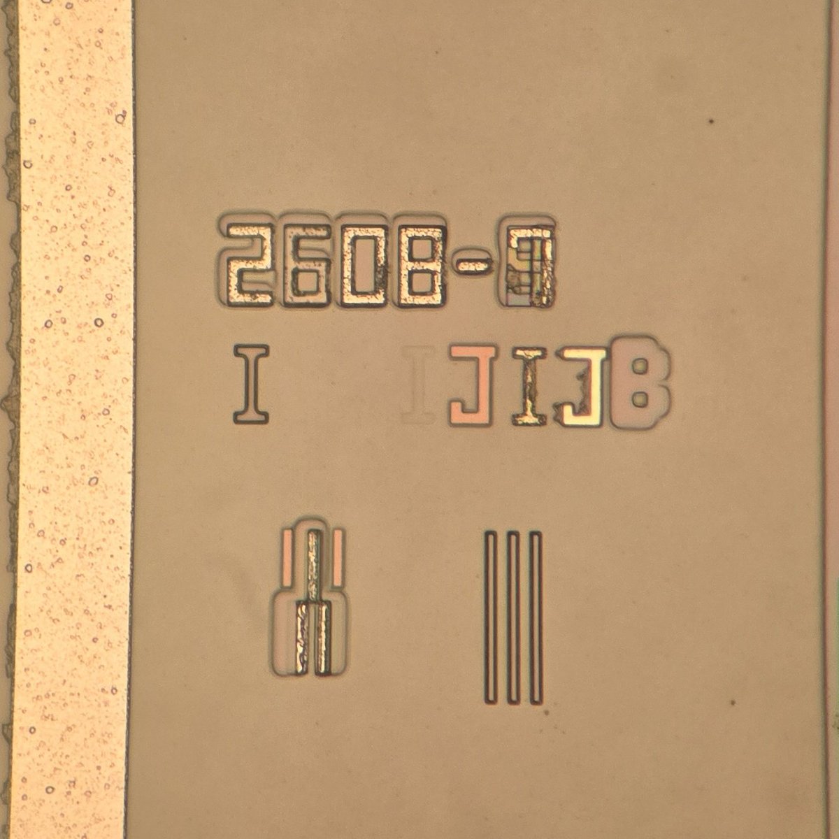 イカビク tweet media