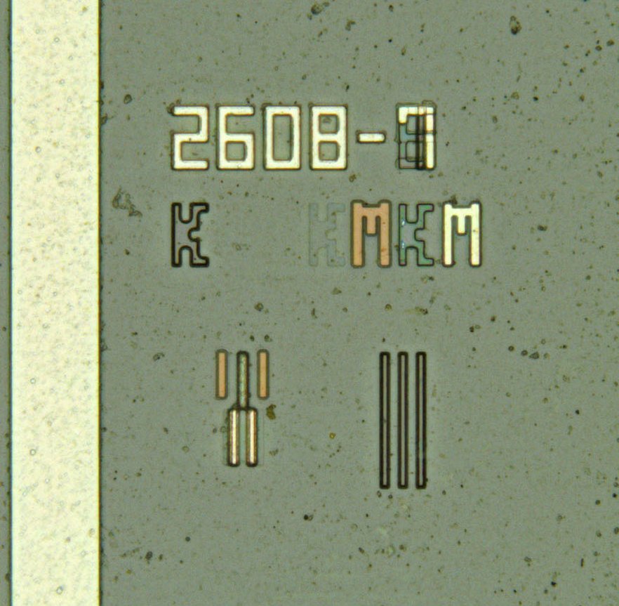 イカビク tweet media
