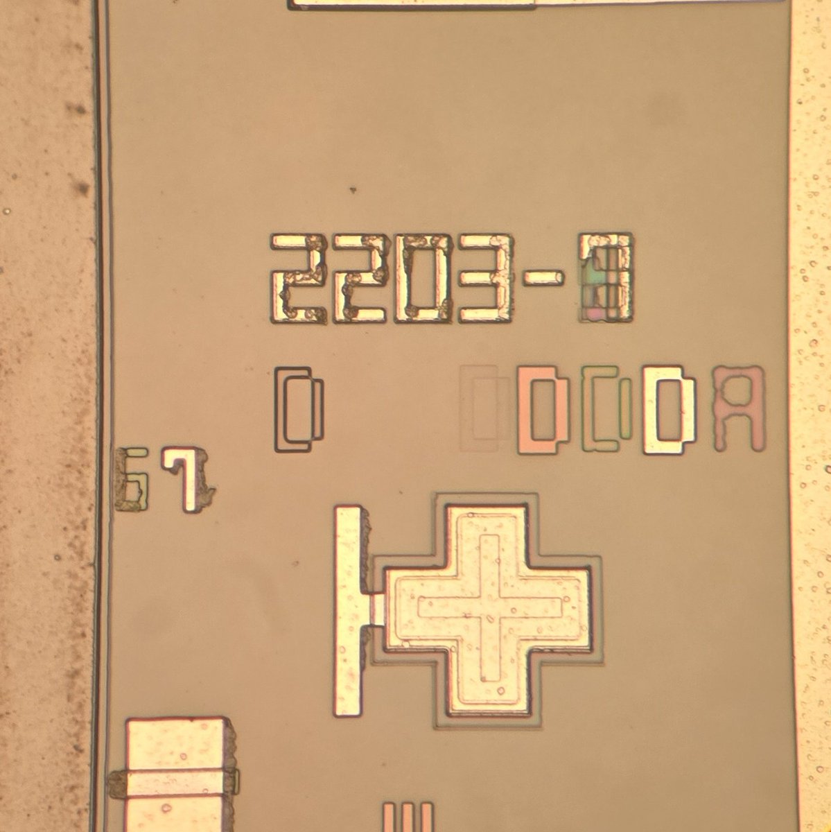 イカビク tweet media