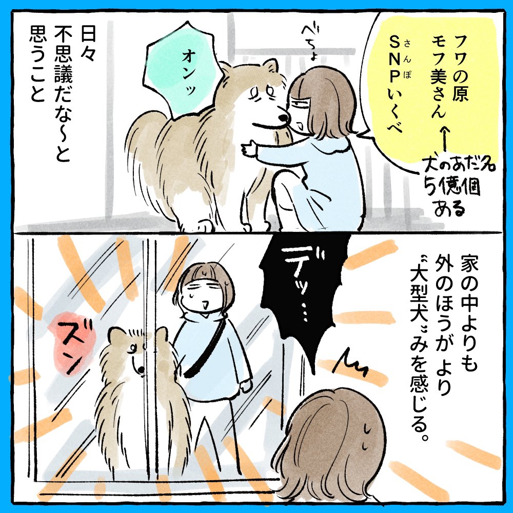ポメラニアンやライオンと言われることが多いので、ぽんちゃんを秋田犬と一発で
わかる人は「玄人」だと思っております 