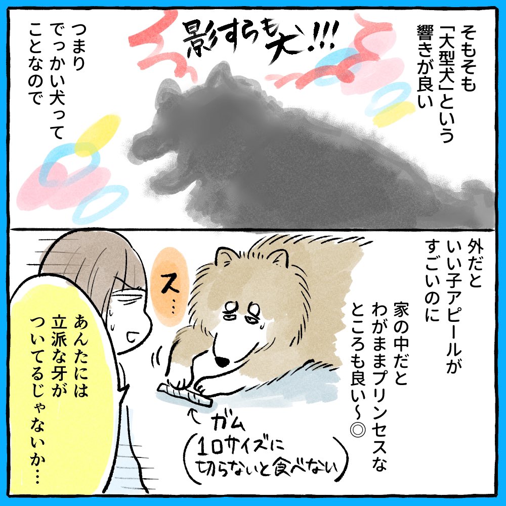 ポメラニアンやライオンと言われることが多いので、ぽんちゃんを秋田犬と一発で
わかる人は「玄人」だと思っております 