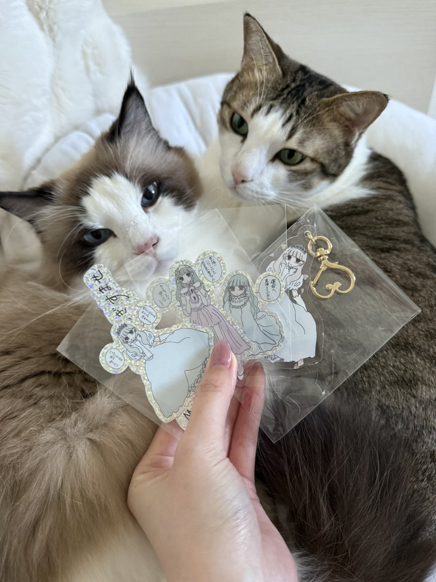 橋本有菜 (新有菜)