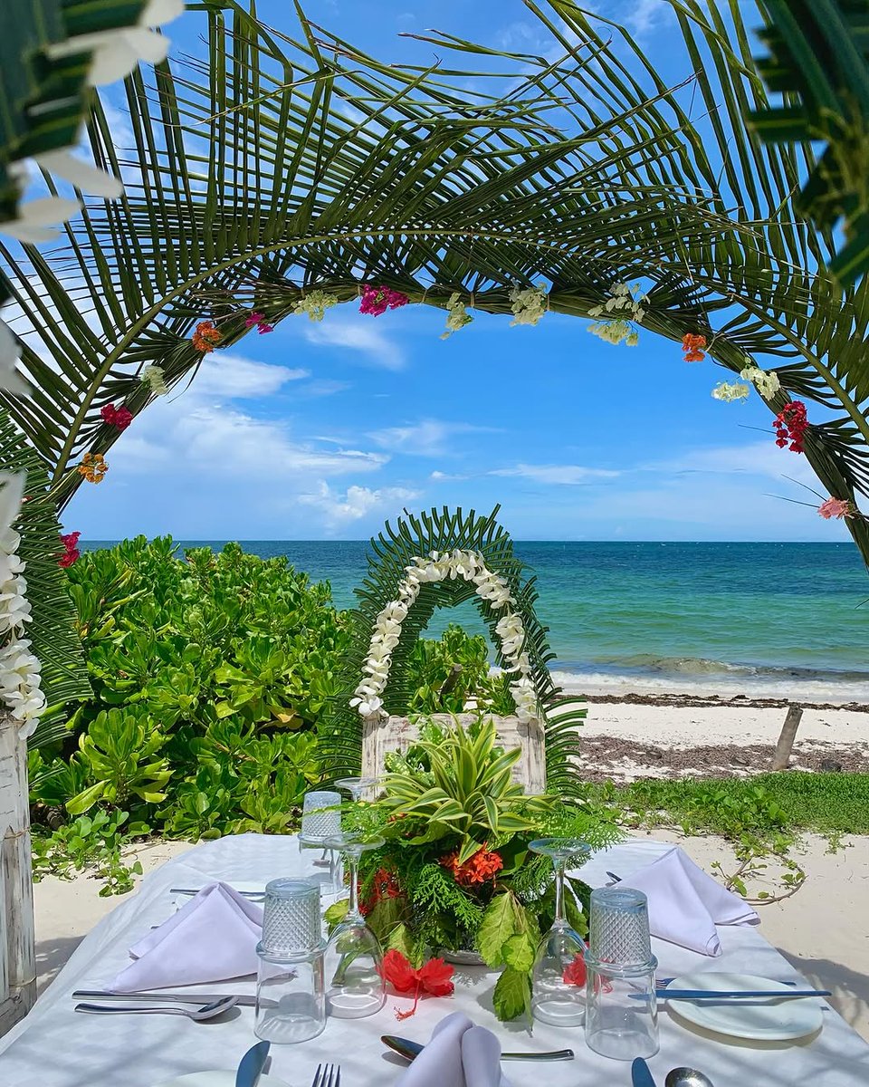 SoetExpedition's tweet photo. As the season of love approaches, embrace an unforgettable escape to the luxurious Turtle Bay Beach Resort, Watamu. Let @SoetExpedition gracefully curate every detail of your dreamy getaway. 
Email: Info@soetexpedition.com visit https://t.co/DjUaTb5yjL
#soet #travel #foryou https://t.co/N9IJBNP3Ud