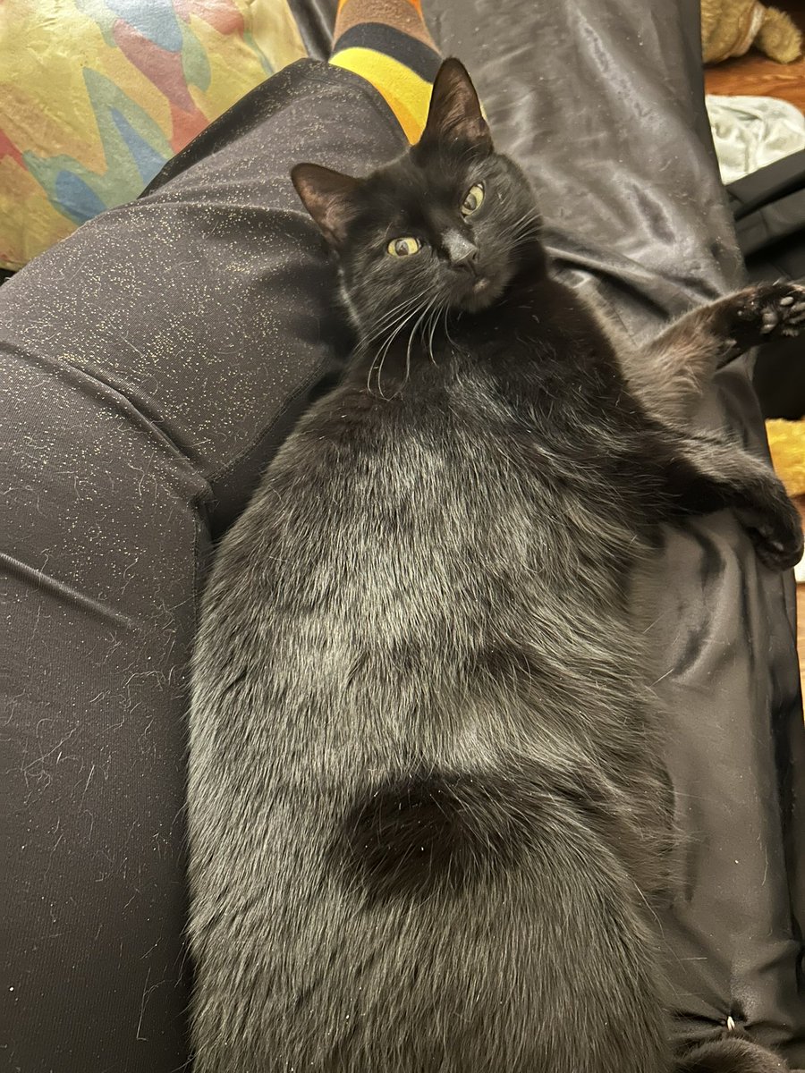 The soot sprite missed me 😭