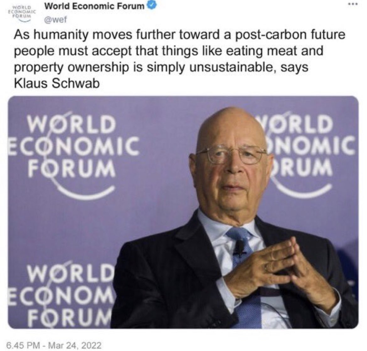 wonderlandsza's tweet image. No one is coming to save you South Africa. Wake the fuck up‼️ You aren’t getting the land, owning  property‼️AND aren’t even eating the meat ‼️He’s under orders. Famine is a depopulation tool.  “The Great Reset tells you so” 👉Believe your eyes and ears 👉x.com/wideawake_medi…