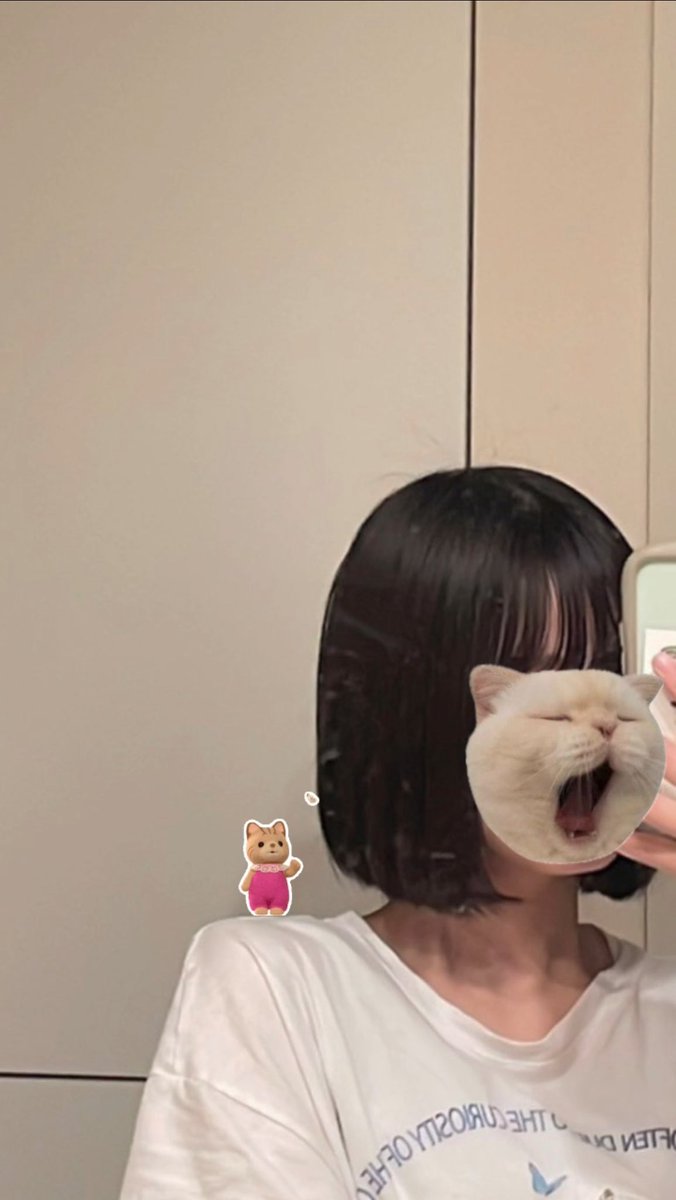 n_0yp2's tweet photo. https://t.co/IPu3axP9Xb