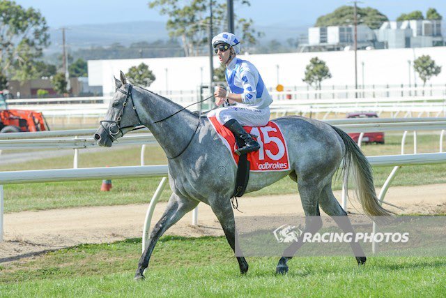 Lucky Duck outclassed the field with a top ride by Liam Riordan to claim the lucrative 58 feature at Moe on Australia Day. 

Congratulations to all the owners!