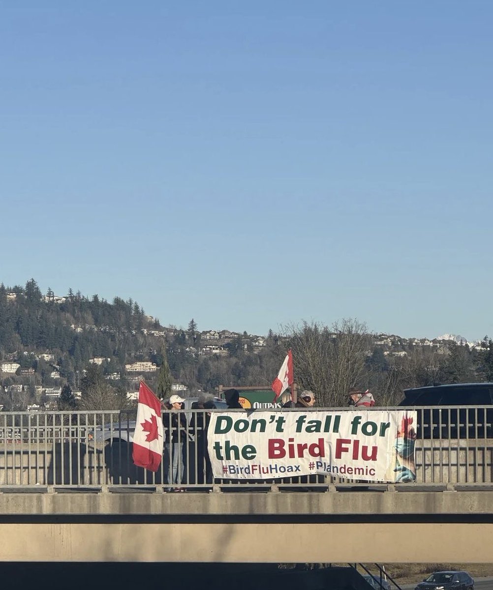 CriticalHabsFan's tweet image. Are we seriously gonna do this again? These anti-vax conservative morons are fkn unbelievable 

I hate these people with every fibre of my being.