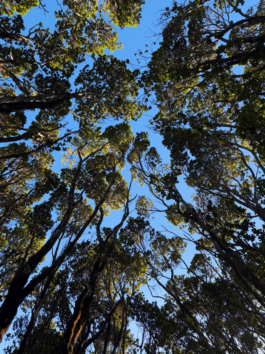 we've never been touched by more grass in our lives <a href="/jassehn/">Jasn</a>