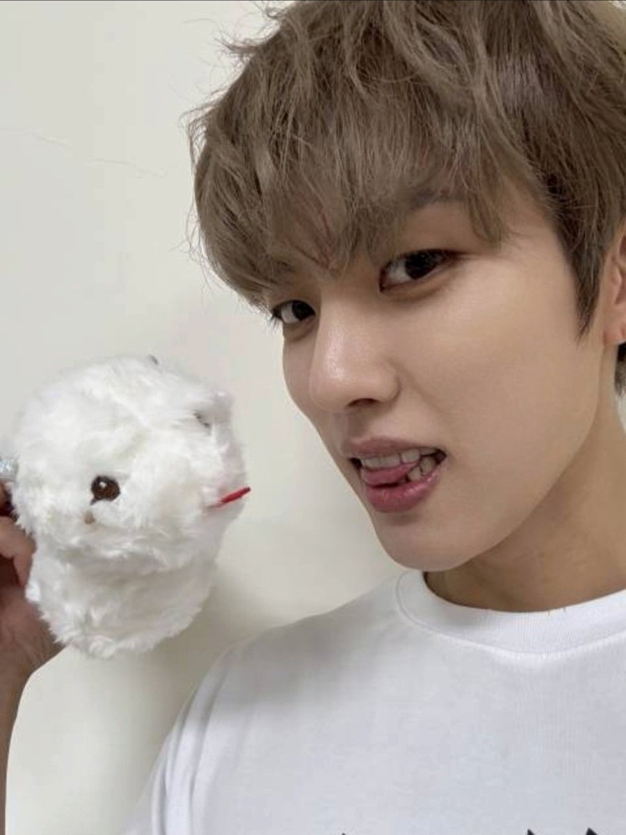 LSY_official_ tweet picture