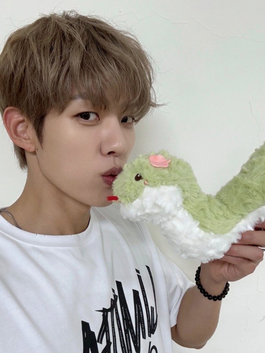 LSY_official_ tweet picture