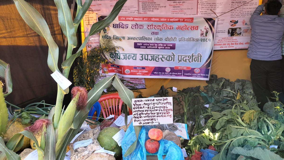 Bjoystha's tweet photo. धादिङ लोक सांस्कृतिक महोत्सव २०८१! https://t.co/kTfvNY3Ssy