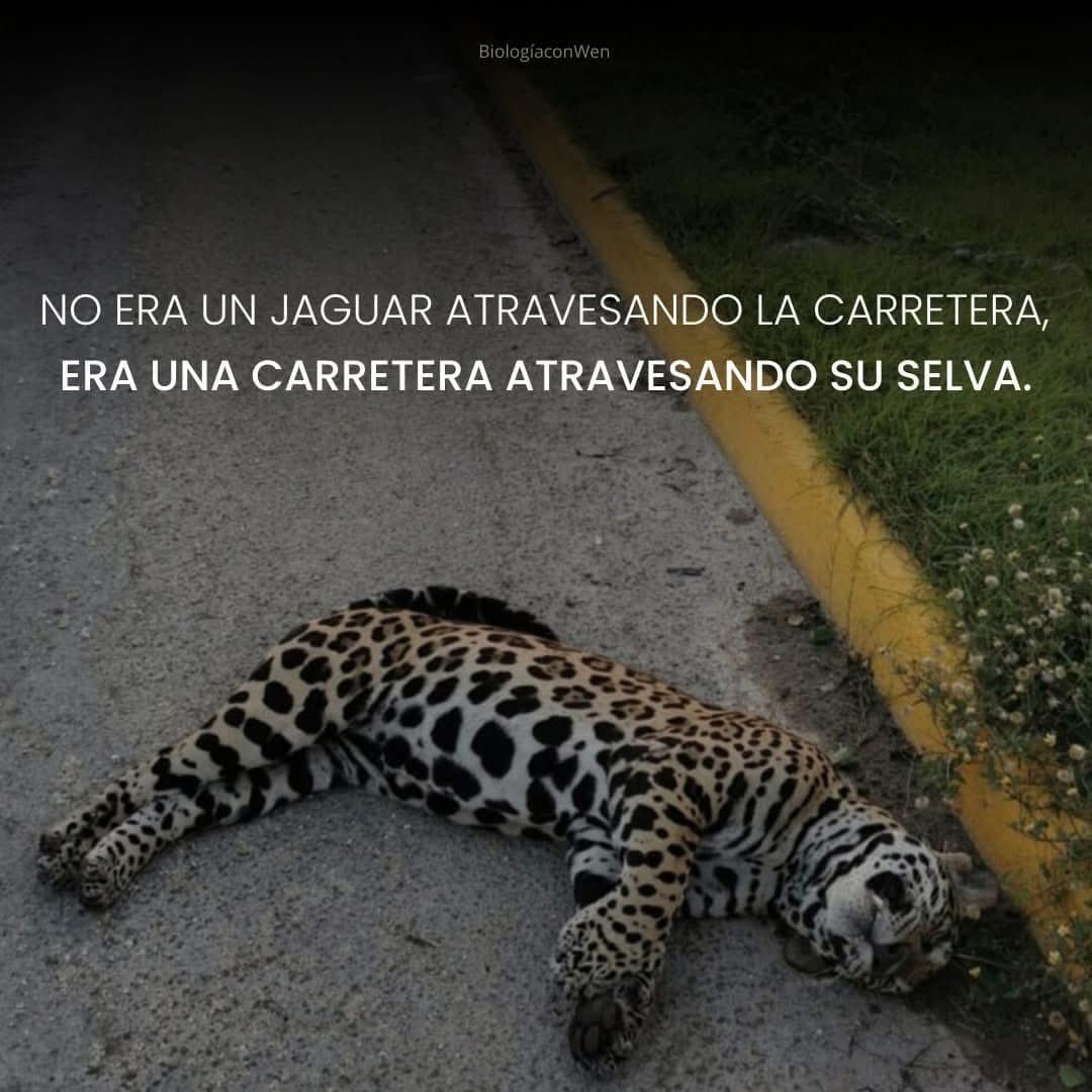 EnsedeCiencia's tweet photo. https://t.co/HFRd6lb0ny