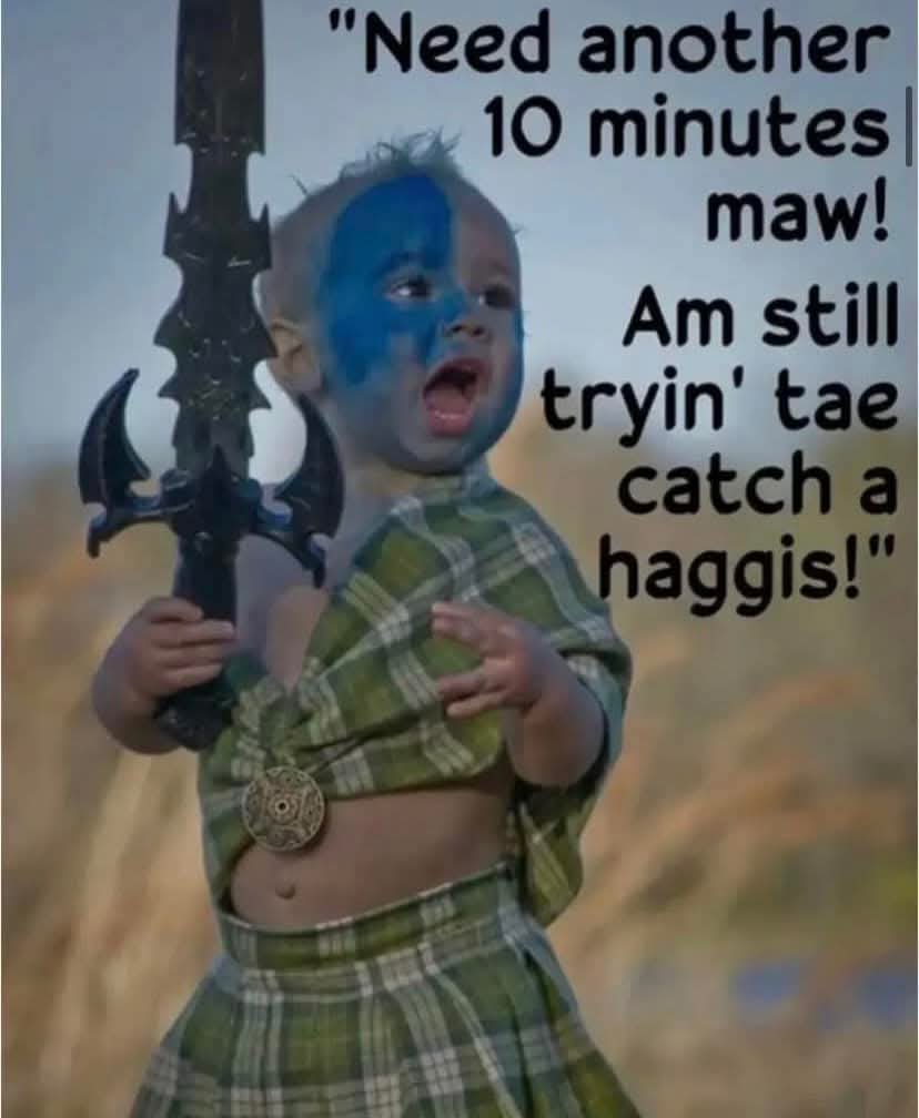 Lord_Teddy_D's tweet photo. Haggis! https://t.co/Hzg14dlTKs