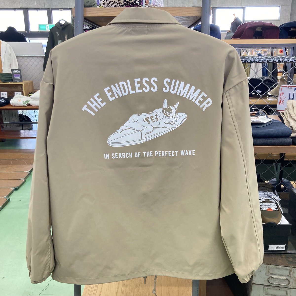 AmeproBaybrook's tweet photo. TESのコーチジャケット、別デザインもございます( ˙▿˙ )☝
#baybrook #amepro #fashion #kumamoto #tes #ベイブルック #アメプロ #ファッション #熊本 #テス https://t.co/ycSL9XEMgz