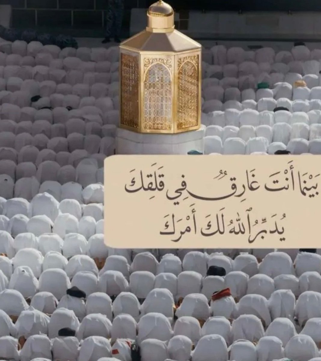 رفوف الذٍكريات (@rfooo0f) on Twitter photo 