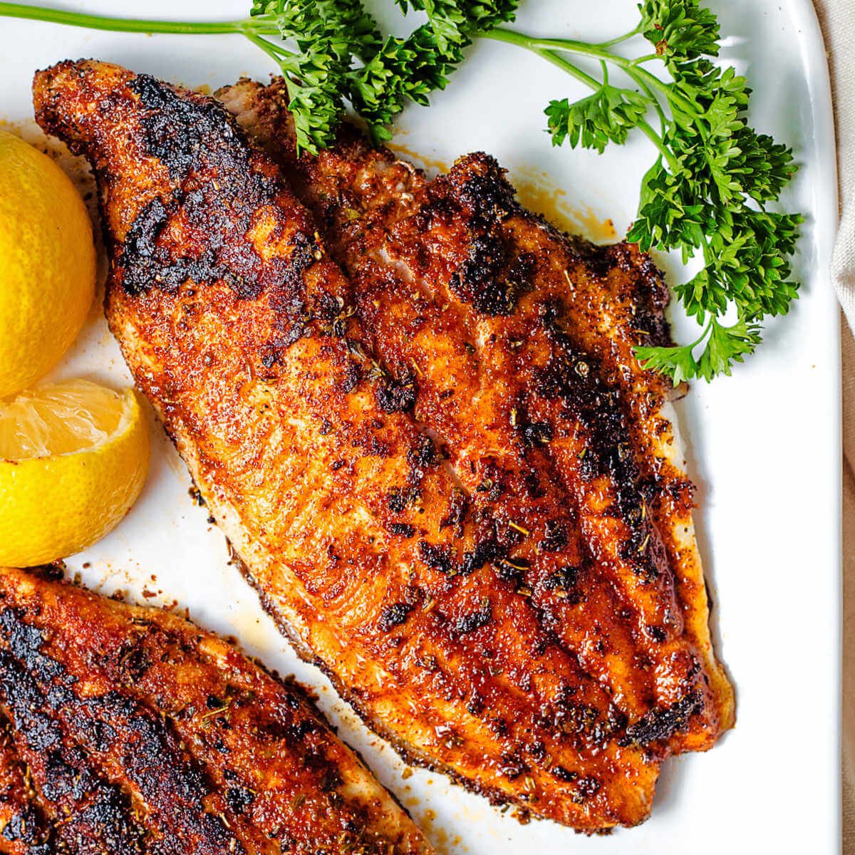 Ever had Catfish?

Did you like it?