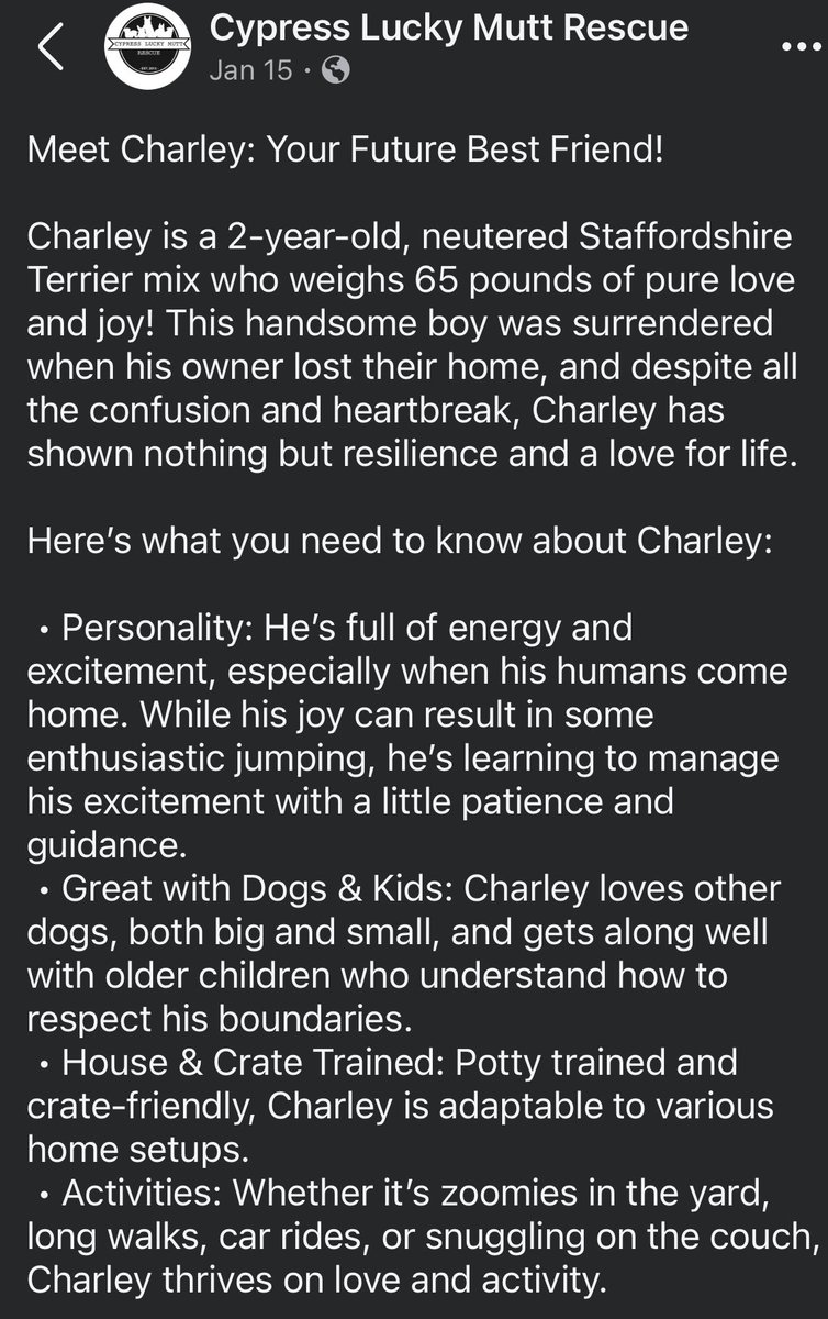 SpaceCityPickle's tweet photo. If anyone is interested in adopting Charley, please let me know! My mom has been fostering this boy for several months, but I know he’s longing for his forever home. 🐾 https://t.co/3HZh6VVafT