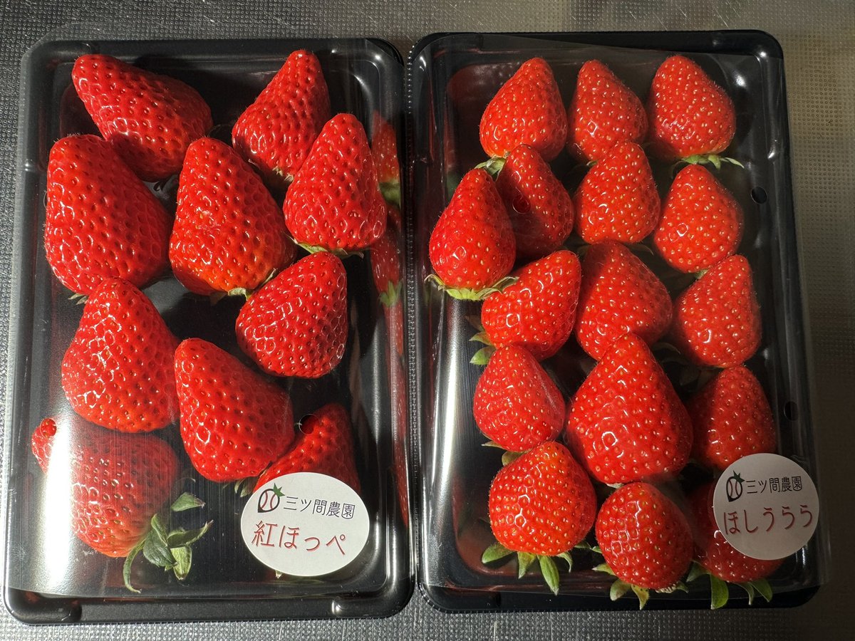 hybridNORI's tweet photo. 本日近くを通ったので息子にお土産で三ツ間農園さんの直売で買って来ました🍓
色も綺麗で味も間違いないのです🍓
#三ツ間農園
#三ツ間卓也 https://t.co/FGo222RBIq