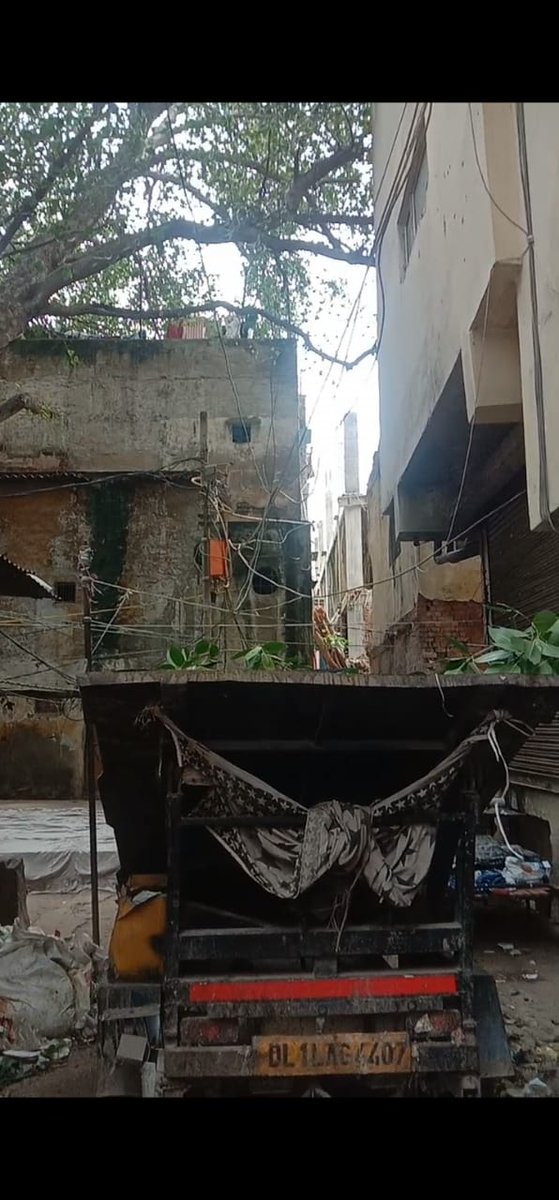 JainTour's tweet photo. Paharganj mein Trees ko katney se koi to bachao. Koi to Action lo aisey logo pe. Pehley Tree ko uper se kaata jaata hai phir nichey se Gira diya jaata hai. Arun Gupta &amp; Charan lal ne milkar Pipal ka Tree Raato raat kaat diya Boring kari aur ab illegal construction kar raha hai. https://t.co/iL9jYxtQHY