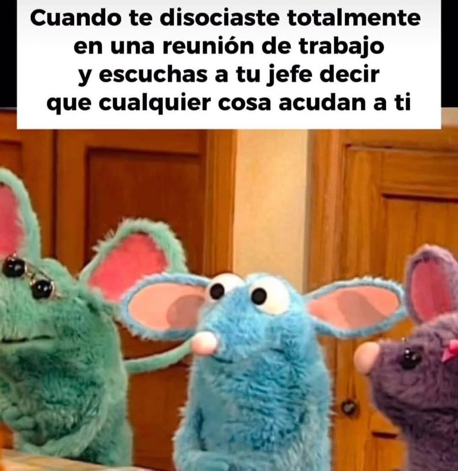 nacional_memes's tweet photo. 🐱 https://t.co/e3aQ1UC2VJ