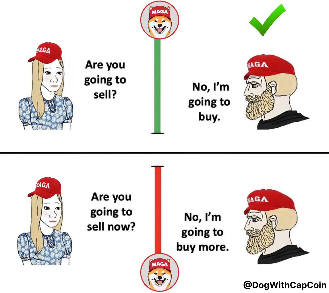 DogWithCap (WIC) tweet media