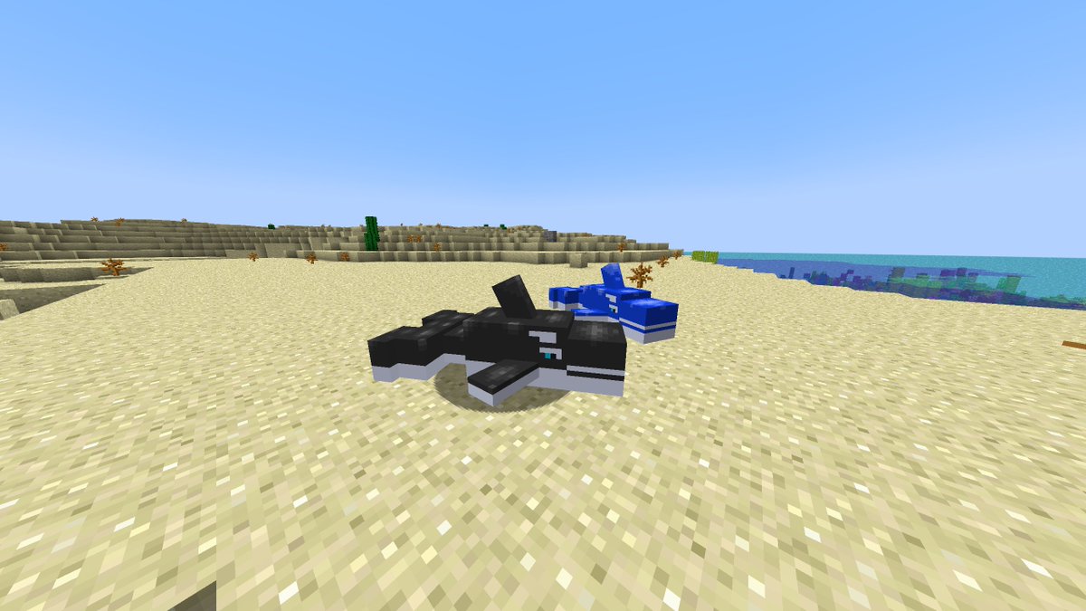 nightglide_'s tweet image. SQRRK! 1.8.1 is now public, adding a new species of Pooltoy - the Orca!

By the way, thank you so much for 600 downloads! Can we get to 700?

Google Drive: docs.google.com/document/d/1aV…

MCreator: mcreator.net/modification/1…