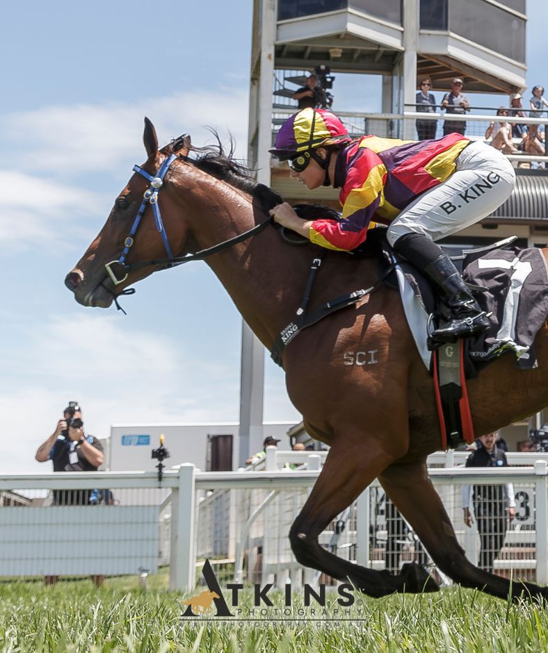 Dion &amp; Raygan Koch won the Sportsbet Jockey Watch Maiden Plate at Strathalbyn with Brooke King riding Iconic Jewel.
Photos ~ AtkinsPhotography.com.au
<a href="/RacingSA/">Racing SA</a> <a href="/CountryRacingSA/">Country Racing SA</a> <a href="/StrathalbynClub/">Strathalbyn Racing Club</a> <a href="/sportsbetcomau/">Sportsbet</a> <a href="/RayganKoch/">Raygan Koch</a> <a href="/king_brooke23/">Brooke King</a>