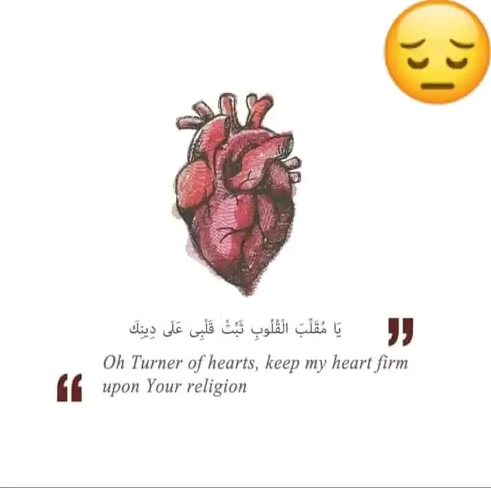 MohsinJavid Khan tweet media