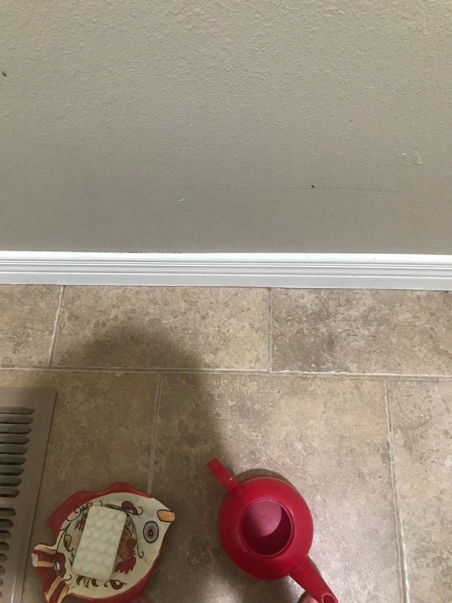 Steak Beef tweet media