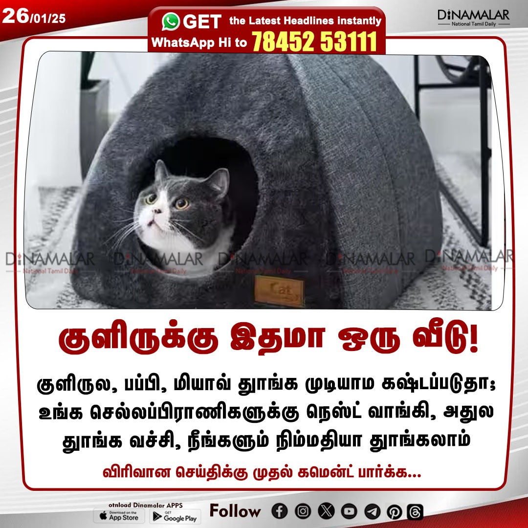 dinamalarweb's tweet photo. குளிருக்கு இதமா ஒரு வீடு!
#Chellame| #petsHouse| #PetsTips| #PetsLover
https://t.co/y4W3uzOWeZ https://t.co/YJxF6VUV2h
