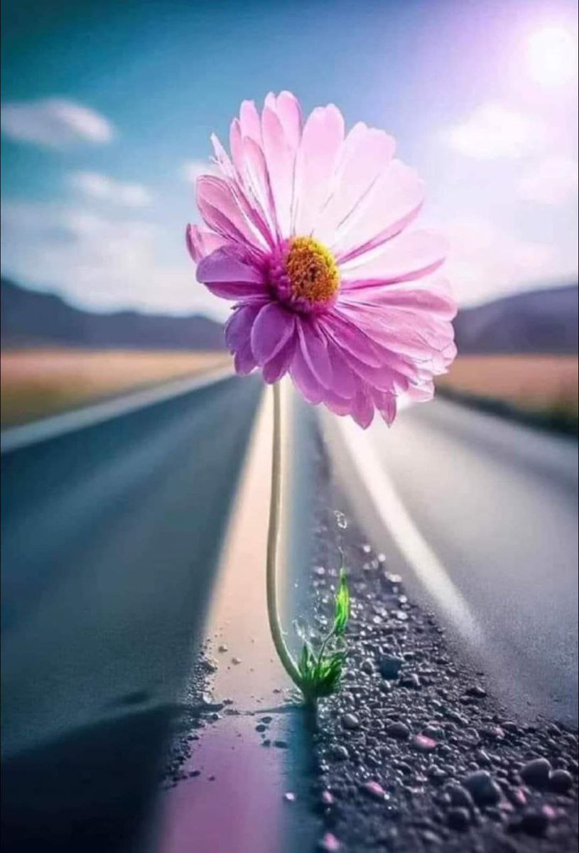 #صباح_الخير_والسعاده

تشرق العيون على كلمة "صبـــــاح الخيــر"
ممن نحبّ ؛ وَ دعاء جميل من قلب عامر بالحُبِّ ..
كفيلة بـِ أن تزيد الصبــــــاح جمالاً وَ تزرع في العيون
آمالاً وفي الروح دلالاً وَ تسقي القلب ماءاً زلالاً
صباح الخير والسعادة. 
صباح الورد🍃🌸
#تغريده_في_خاطري