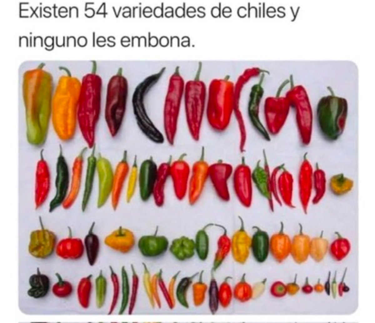 arzate_22's tweet photo. @acostanaranjo Son unos #Pndjos
#OposicionMasPendejaYCorruptaQueHaExistido https://t.co/c7vV6za2oo