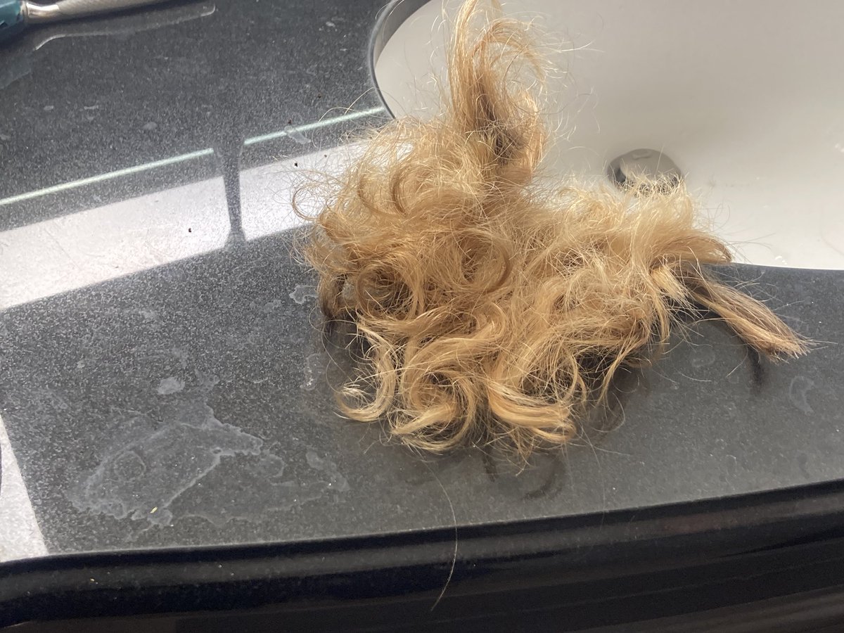 common opera tweet media