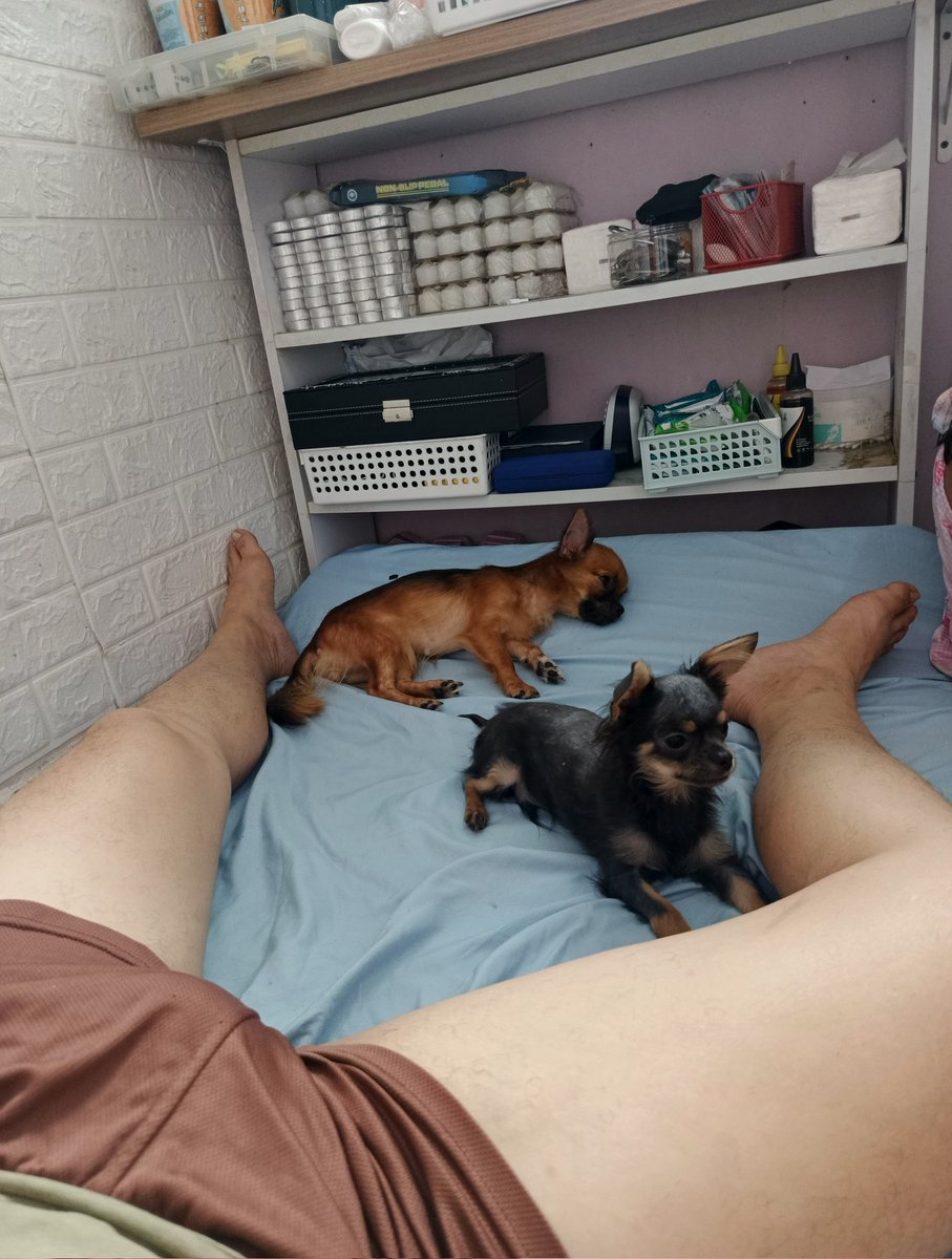 delos241989's tweet photo. Chillchill nag mga bata 😋
#gayph #doglovers #everyoneknowsthat #single https://t.co/1Aja3tuiAV