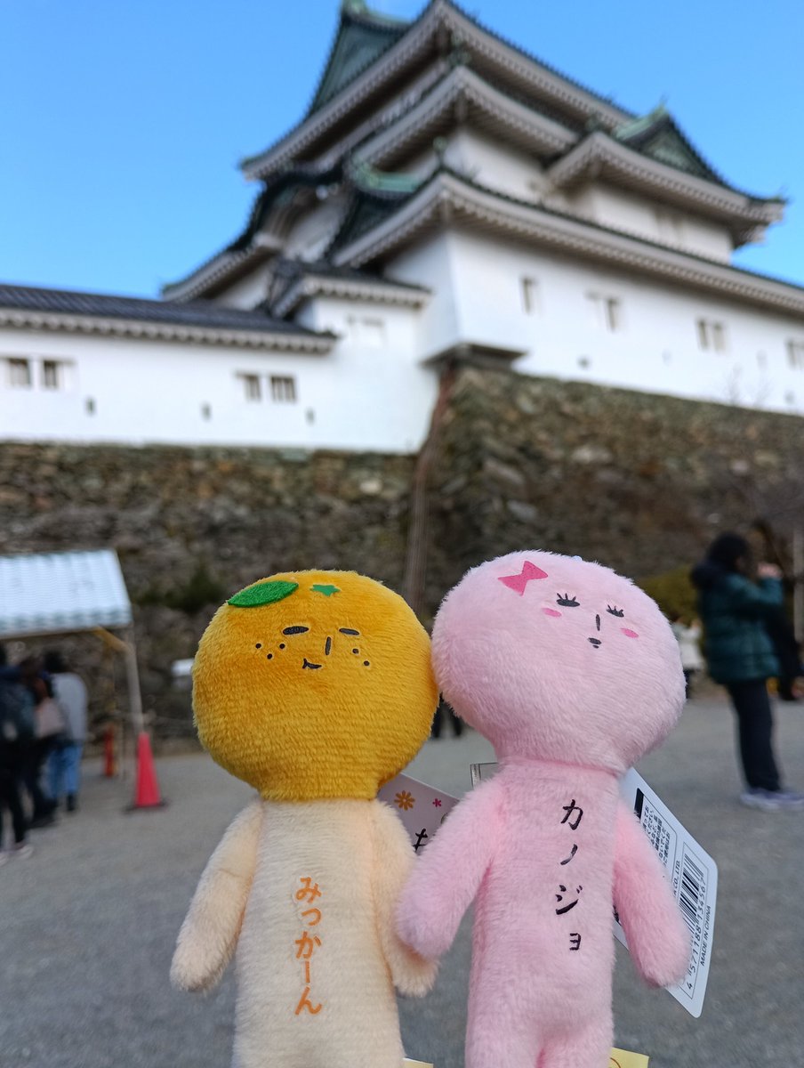 niyanandone's tweet image. 和歌山城に登城。

お城の麓のおみやげ屋さんにいました

ゆきおくん　と　ゆきこさん

#和歌山城　#ゆきお　#ゆきこ　#日本百名城　#徳川御三家