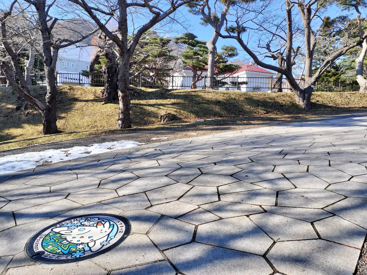 rastyhands's tweet photo. 【ポケモンマンホール】
函館市。マスターリーグの初手はいつもトゲキッス。函館は思ったほど寒くない。 https://t.co/40wMTCbWuH