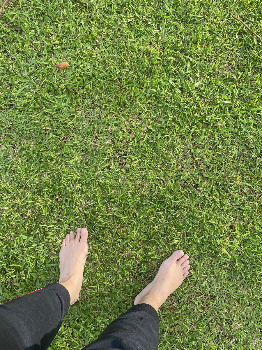 diyahratna's tweet photo. Earthing. Whatever the meaning is. Just feel the ground, the grass, and the earth. Kinda fun! https://t.co/MNjU09f942
