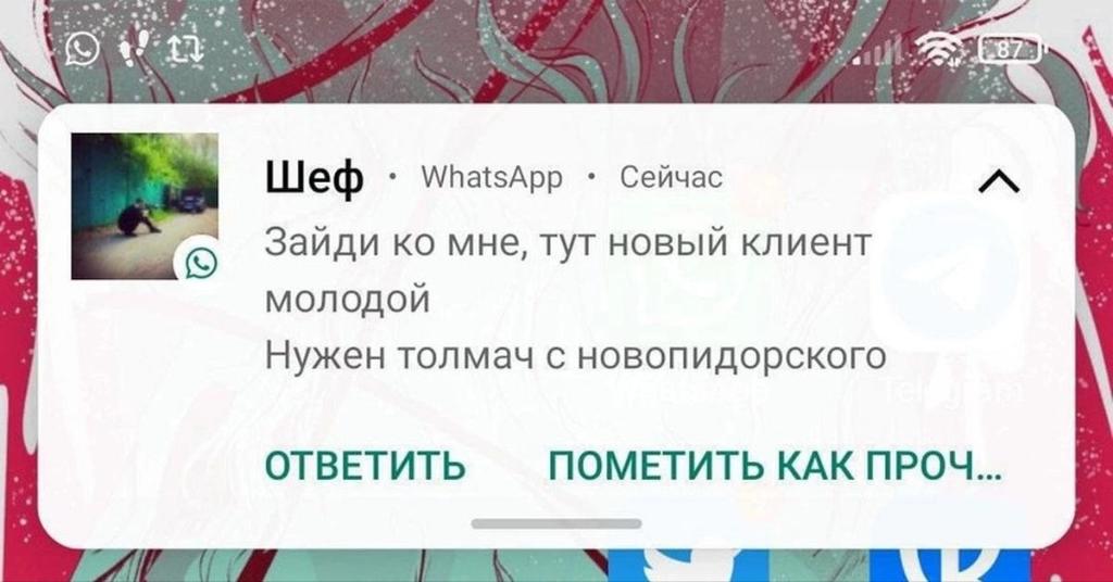 бимбо коза🇳🇴 tweet media