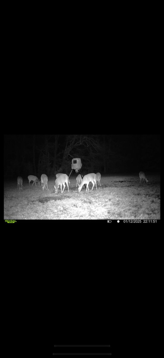 Ladies night out! 💐🌽🌾🌽🤍