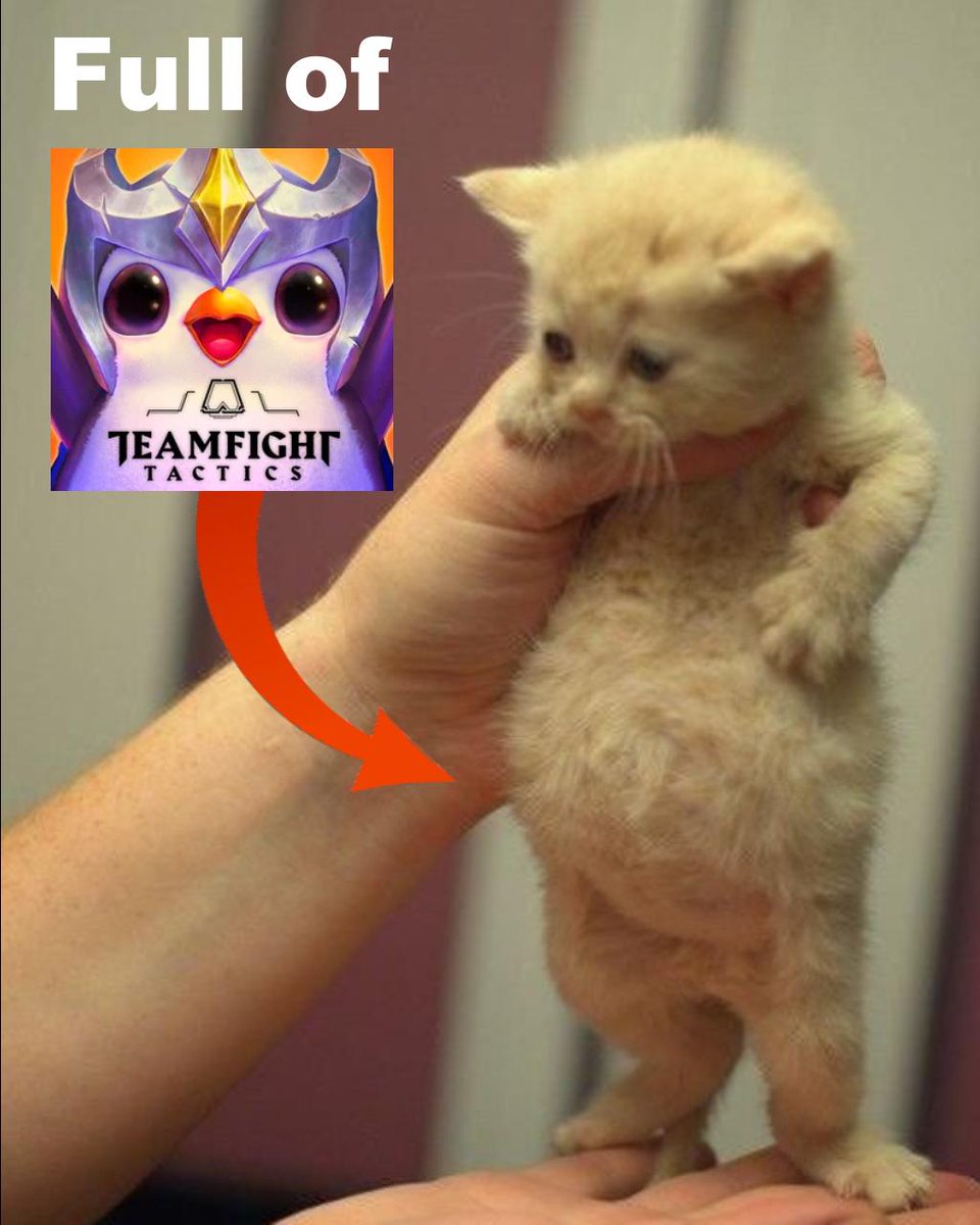 Shitpost_TFT (@thefabraxxx) on Twitter photo 