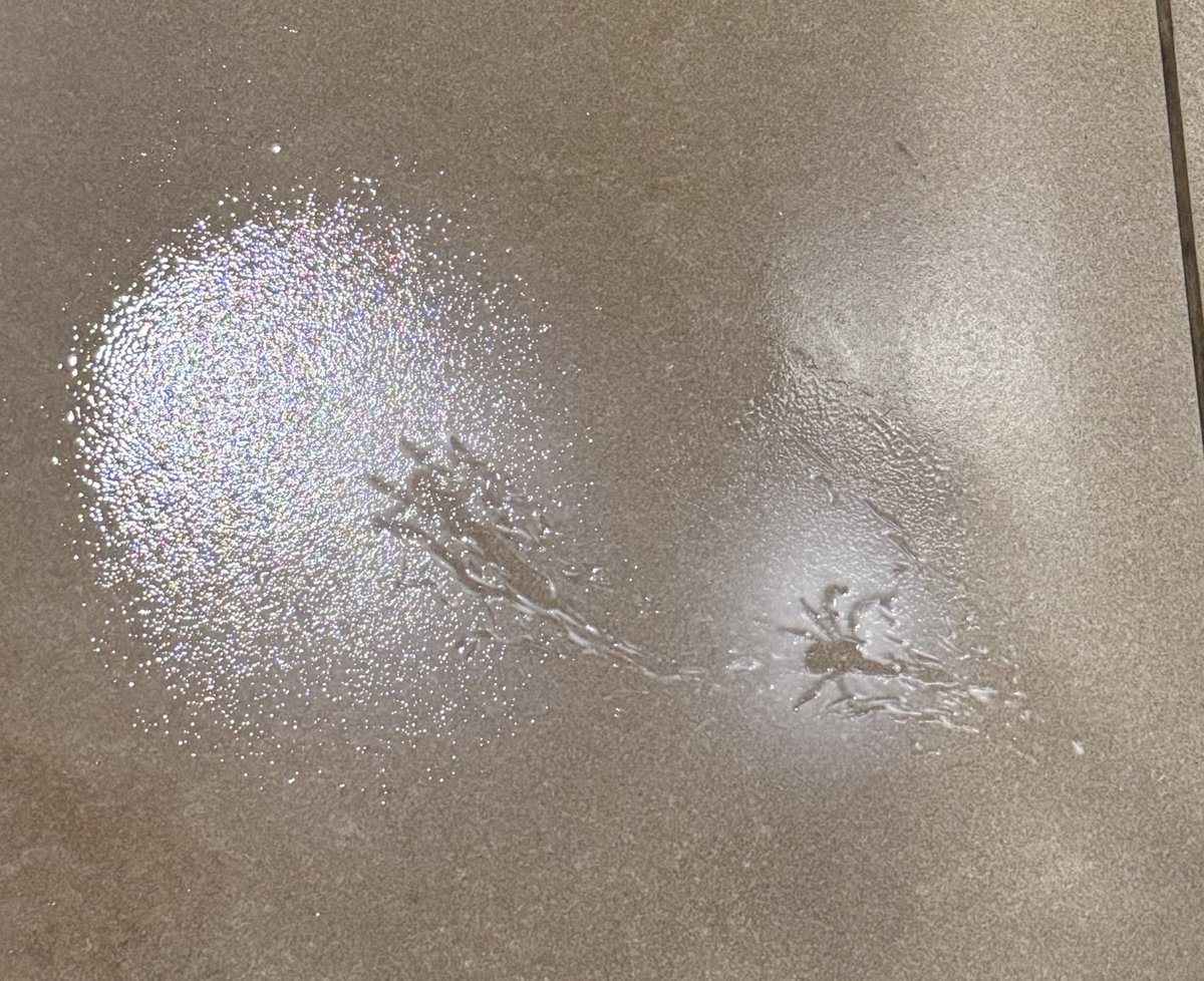 novia de naho tweet media