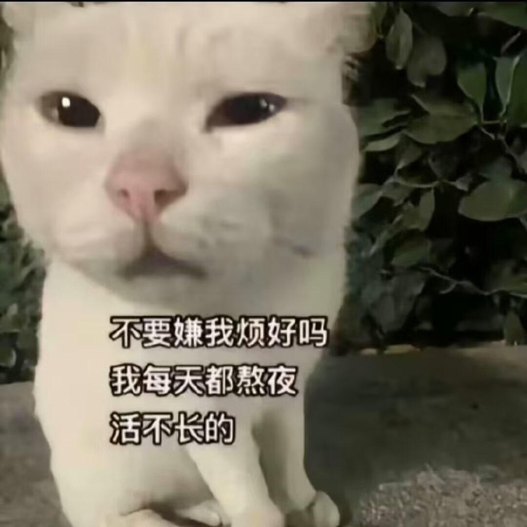 hatadanna's tweet photo. https://t.co/5RFtPfMi0y