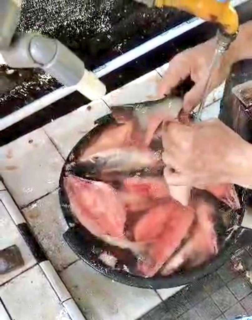 melinda febriyanti tweet media